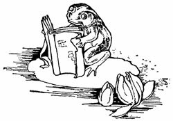 frog reading